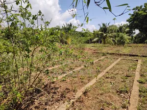 Rare 1/4 Acre Serviced Plot Near Diani Beach