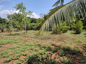 Rare 1/4 Acre Serviced Plot Near Diani Beach