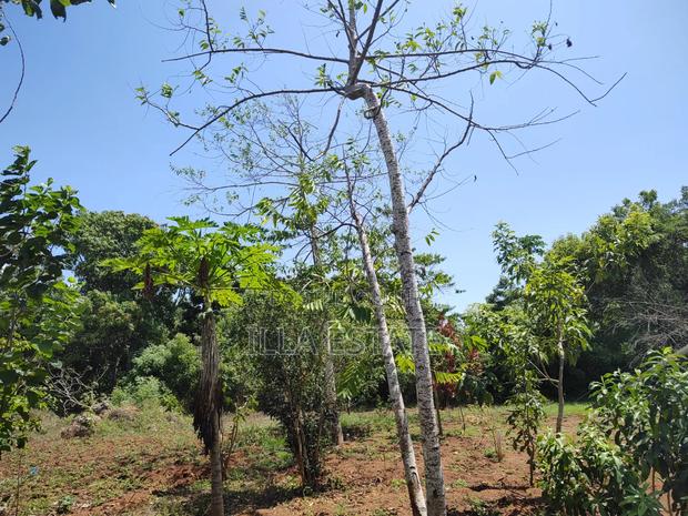 Rare 1/4 Acre Serviced Plot Near Diani Beach - thumbnail 5