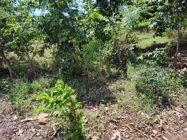 Rare 1/4 Acre Serviced Plot Near Diani Beach - thumbnail 8