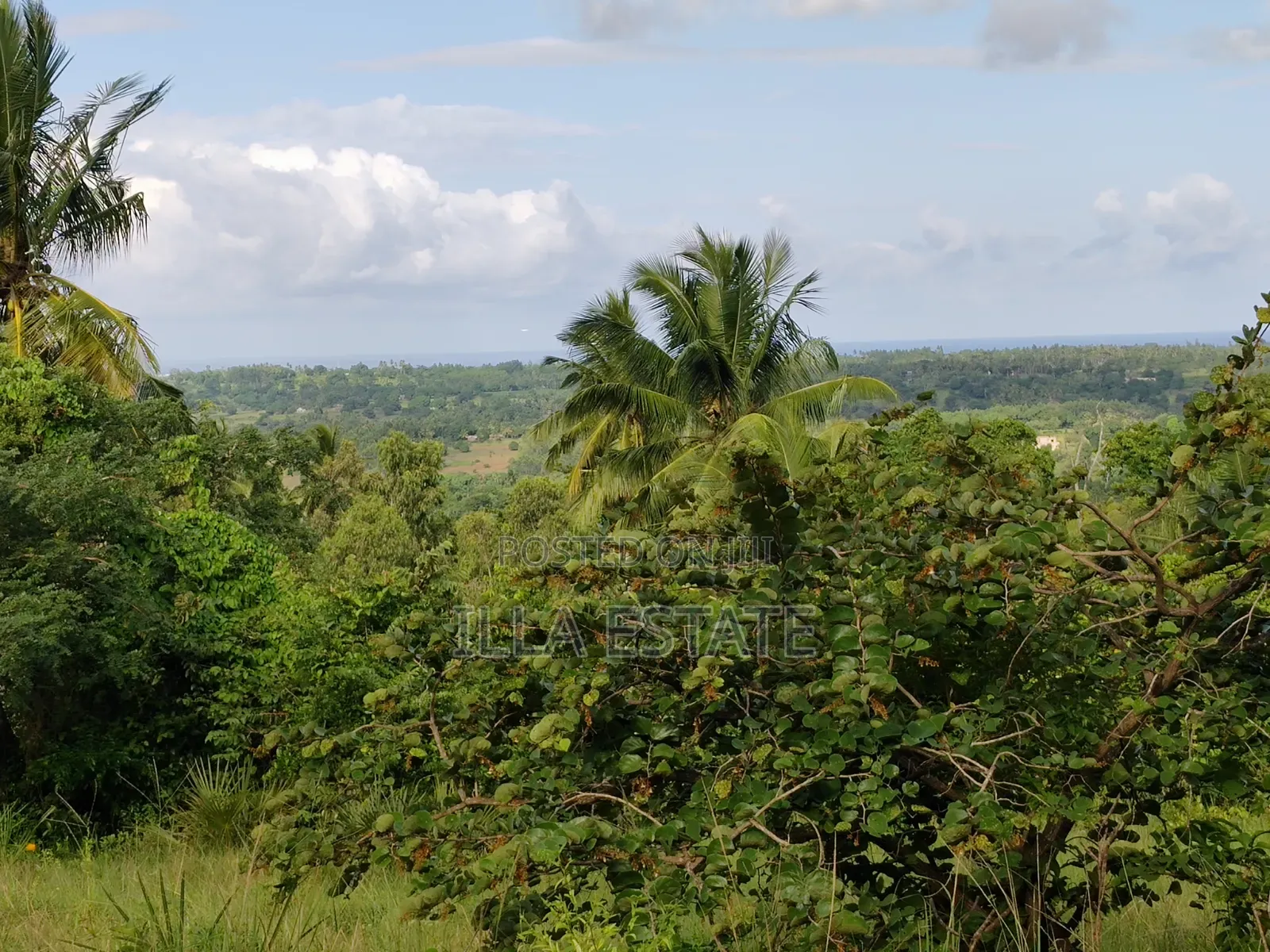 Prime Plot With Breathtaking Views