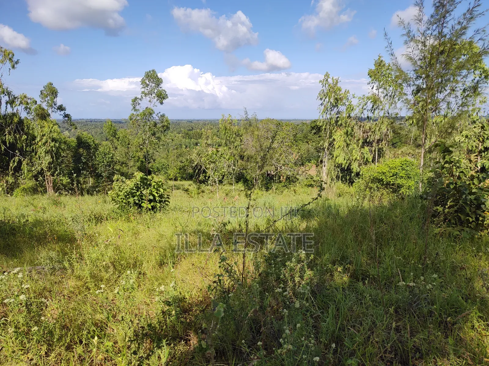 Prime Plot With Breathtaking Views