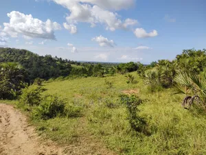 Prime Plot With Breathtaking Views