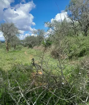 21 Acres on Sale at Kajiando- Bisil