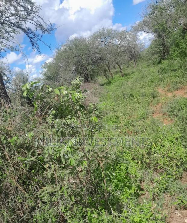 21 Acres on Sale at Kajiando- Bisil - thumbnail 2