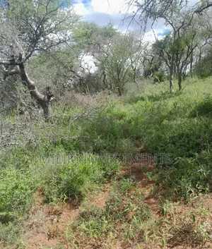 21 Acres on Sale at Kajiando- Bisil