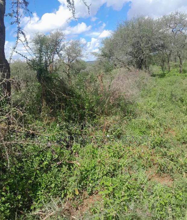 21 Acres on Sale at Kajiando- Bisil - thumbnail 5
