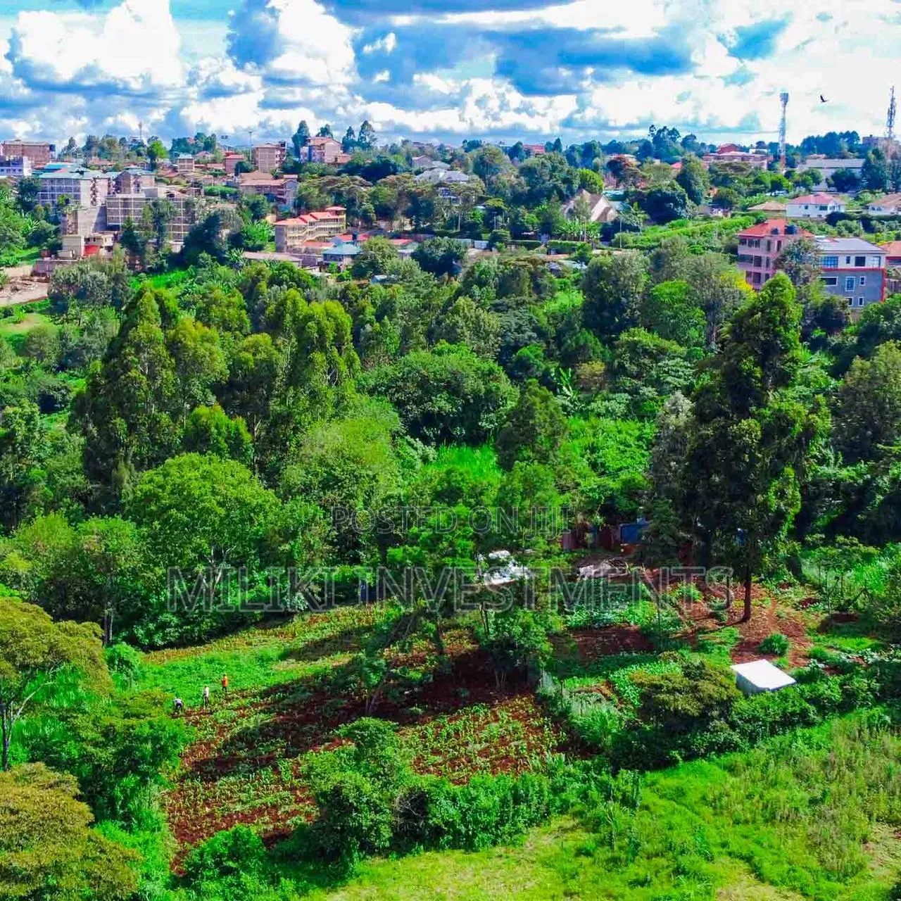 Quarter Acre on Sale at Kikuyu-Kabate