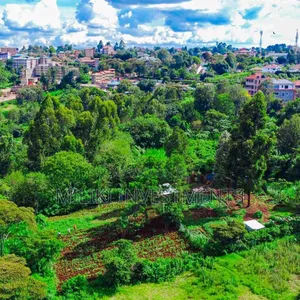 Quarter Acre on Sale at Kikuyu-Kabate