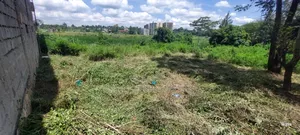 An Eighth and Acre on Sale at Kiambu -Kirigiti