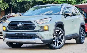 Toyota RAV4 XLE Premium FWD 2019 Green