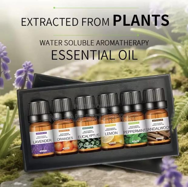 6 Pc Set 100% Pure Natural Aromatherapy Essential Oils - thumbnail 4