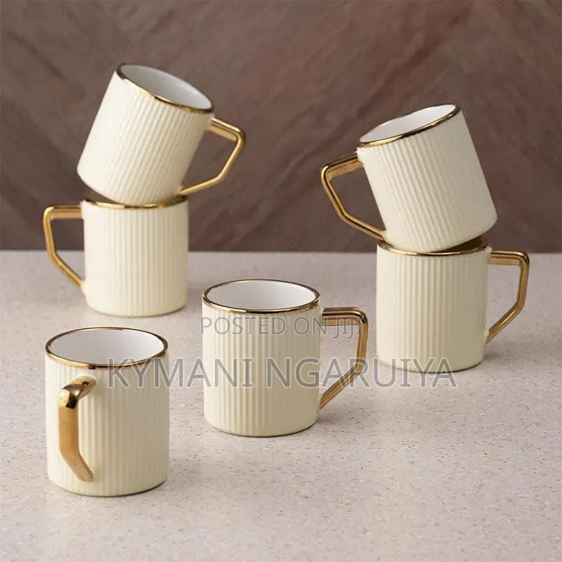 6pcs Breakfast Cups New Entry