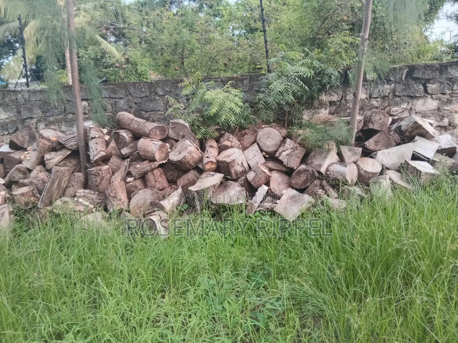 Firewood for Sale
