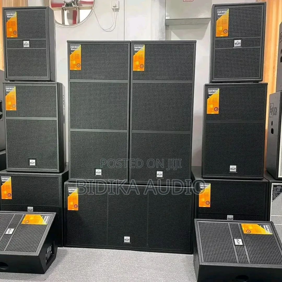 Evp Professional Line Array Speaker System