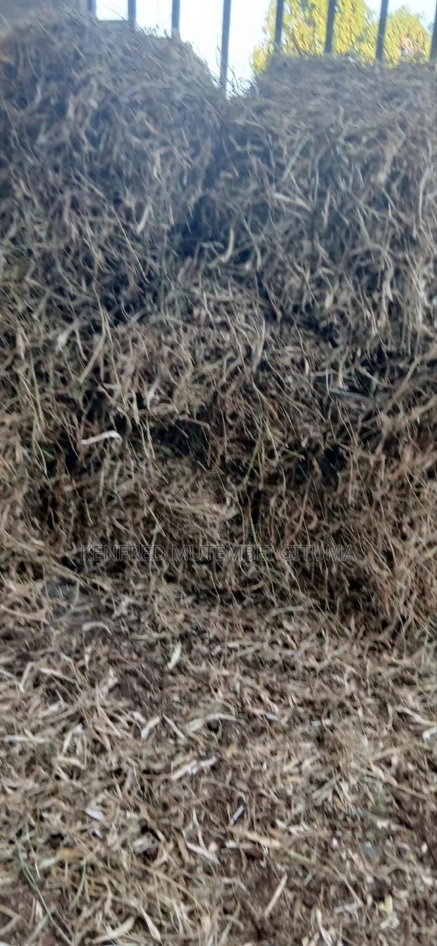 Livestock Feed