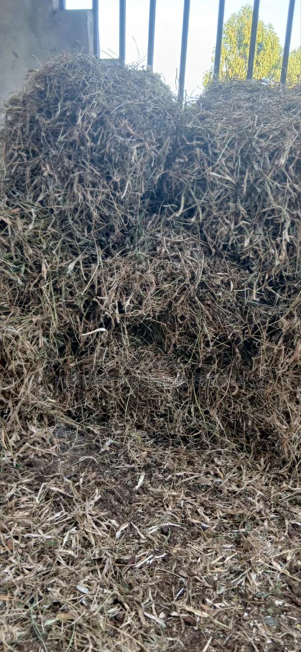 Livestock Feed - thumbnail 2
