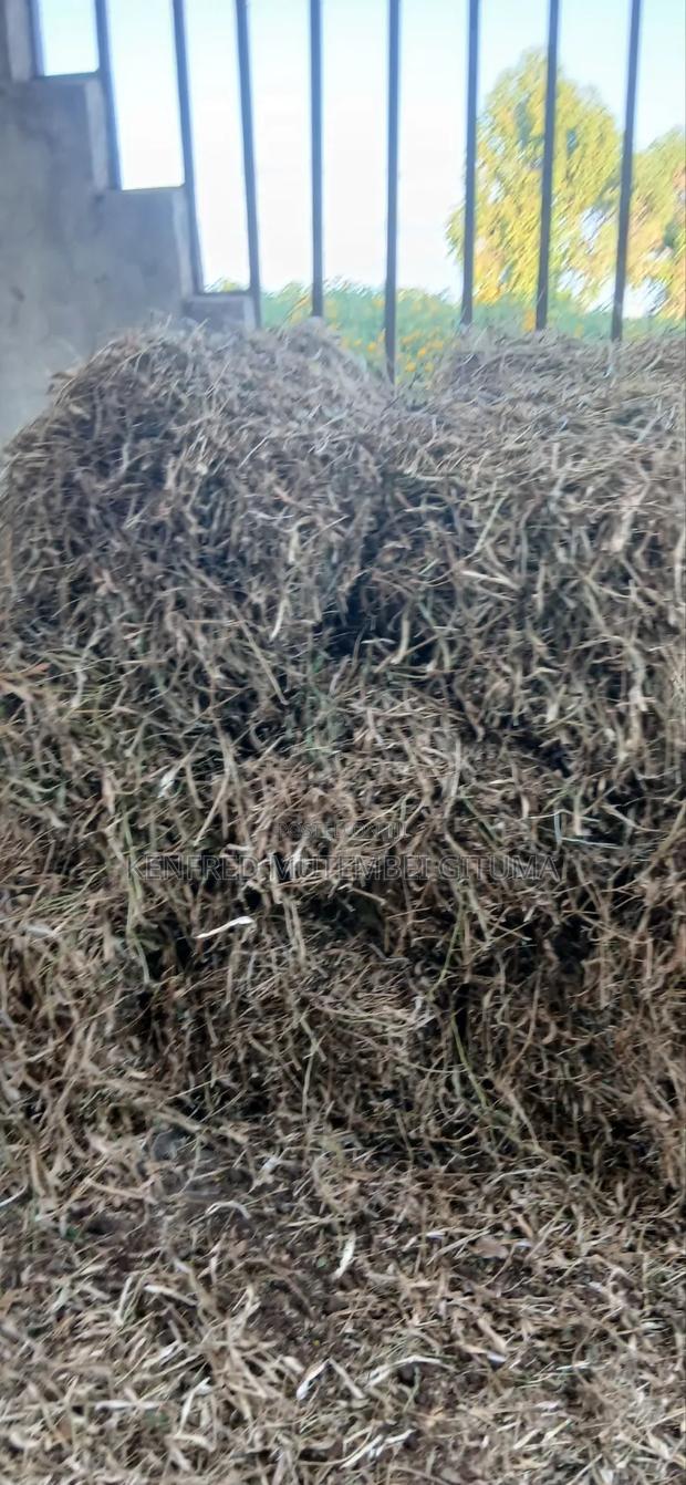 Livestock Feed - thumbnail 3