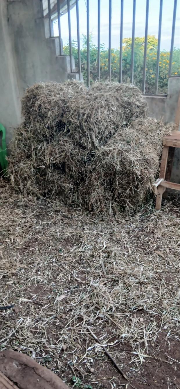 Livestock Feed - thumbnail 4