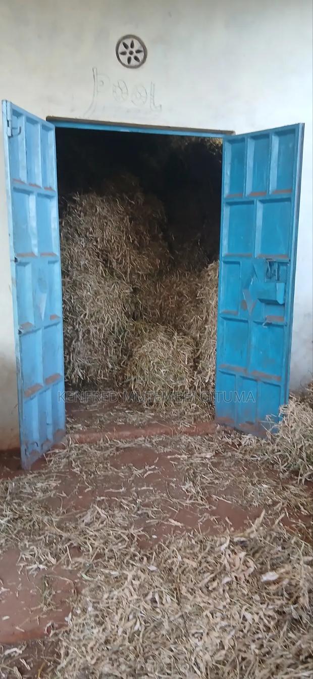 Livestock Feed - thumbnail 6