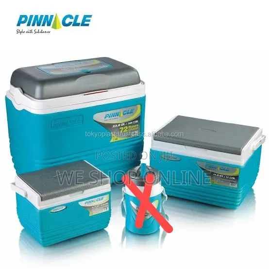 4.5ltrs Pinnacle Cooler Box