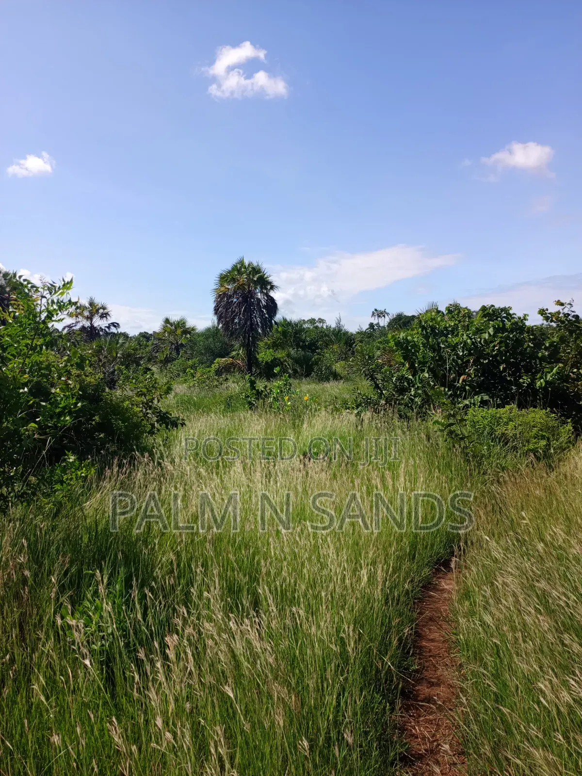1.5 Acres in Galu Diani on Sale