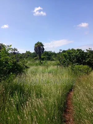1.5 Acres in Galu Diani on Sale