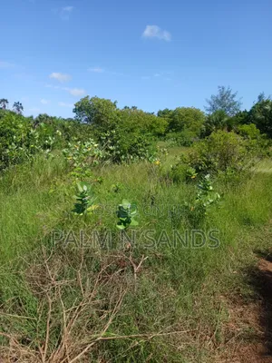 1.5 Acres in Galu Diani on Sale