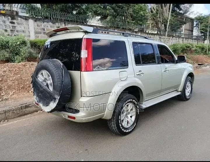 Ford Everest 2010 Beige
