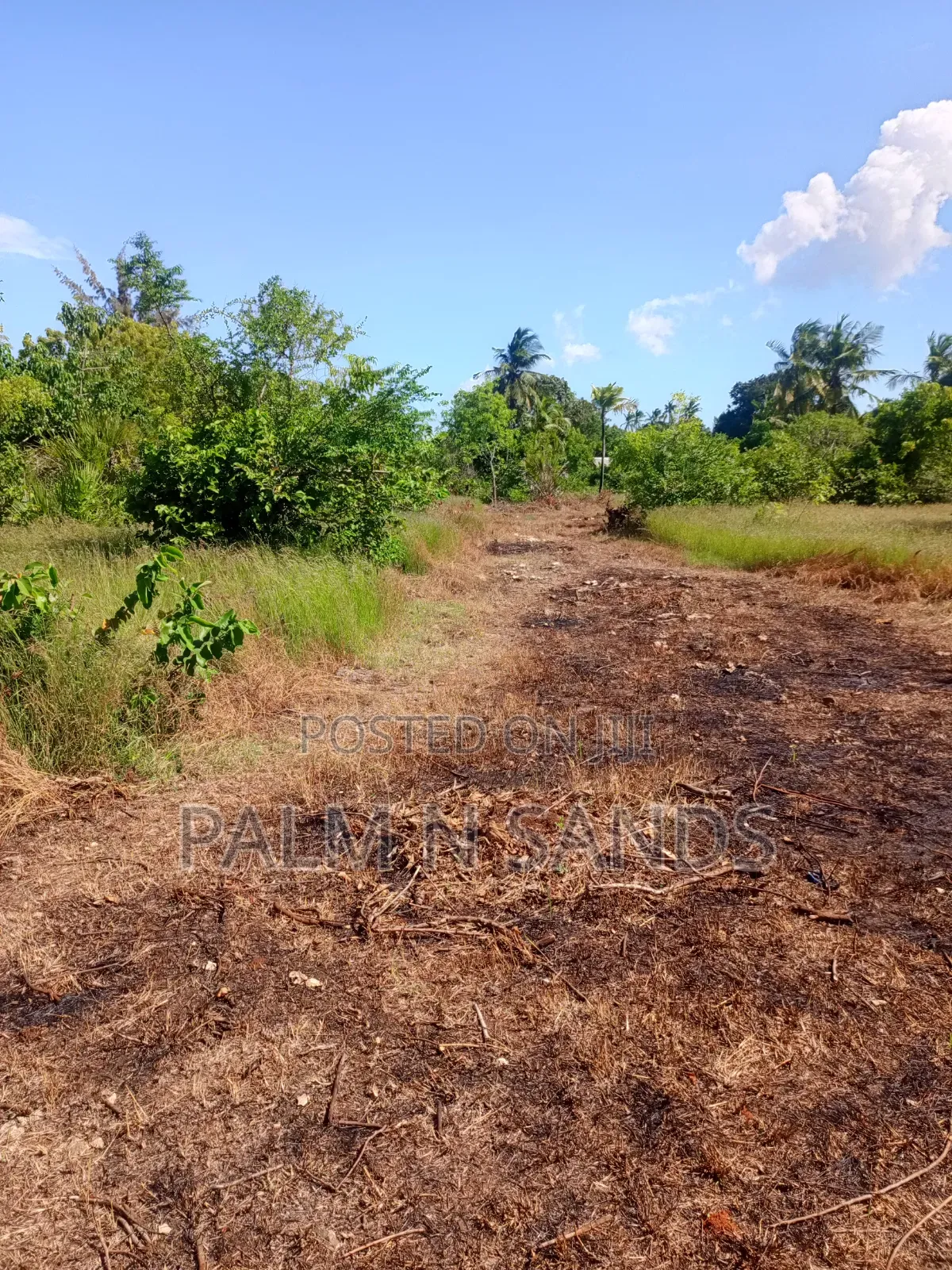 1 Acre Land in Galu Diani With Plenty of Trees