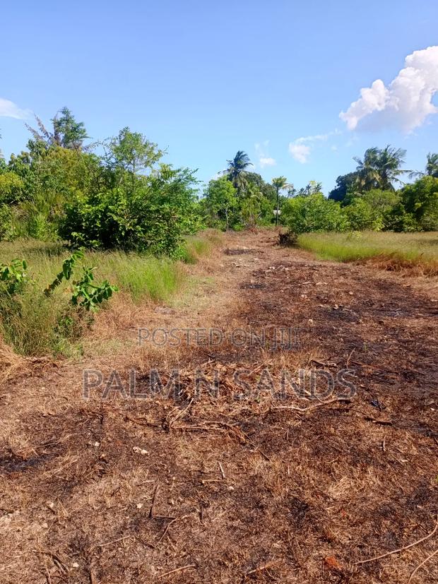 1 Acre Land in Galu Diani With Plenty of Trees