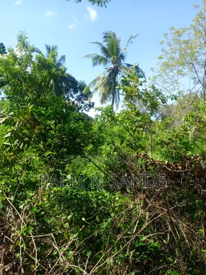 1 Acre Land in Galu Diani With Plenty of Trees