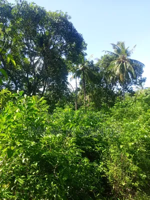 1 Acre Land in Galu Diani With Plenty of Trees