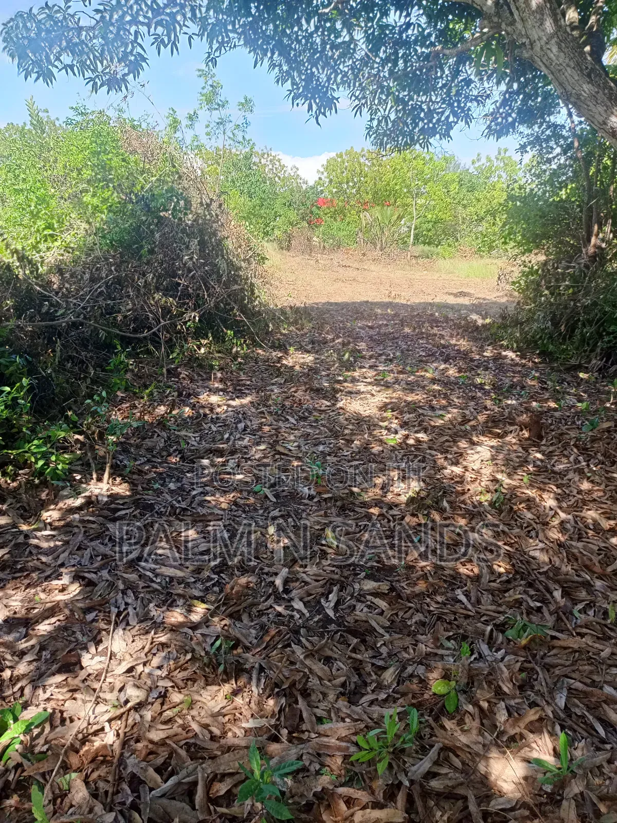1 Acre Land in Galu Diani With Plenty of Trees