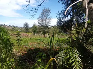 Ongata Rongai, Nkoroi - Residential Plots On