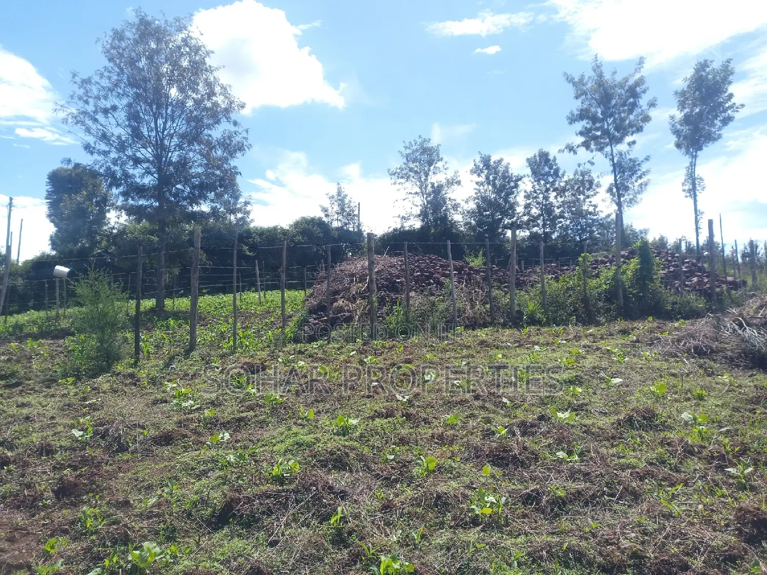 Ongata Rongai, Nkoroi - Residential Plots On