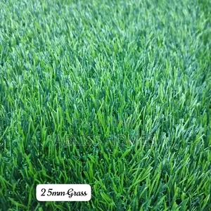 Artificial Grass Carpet