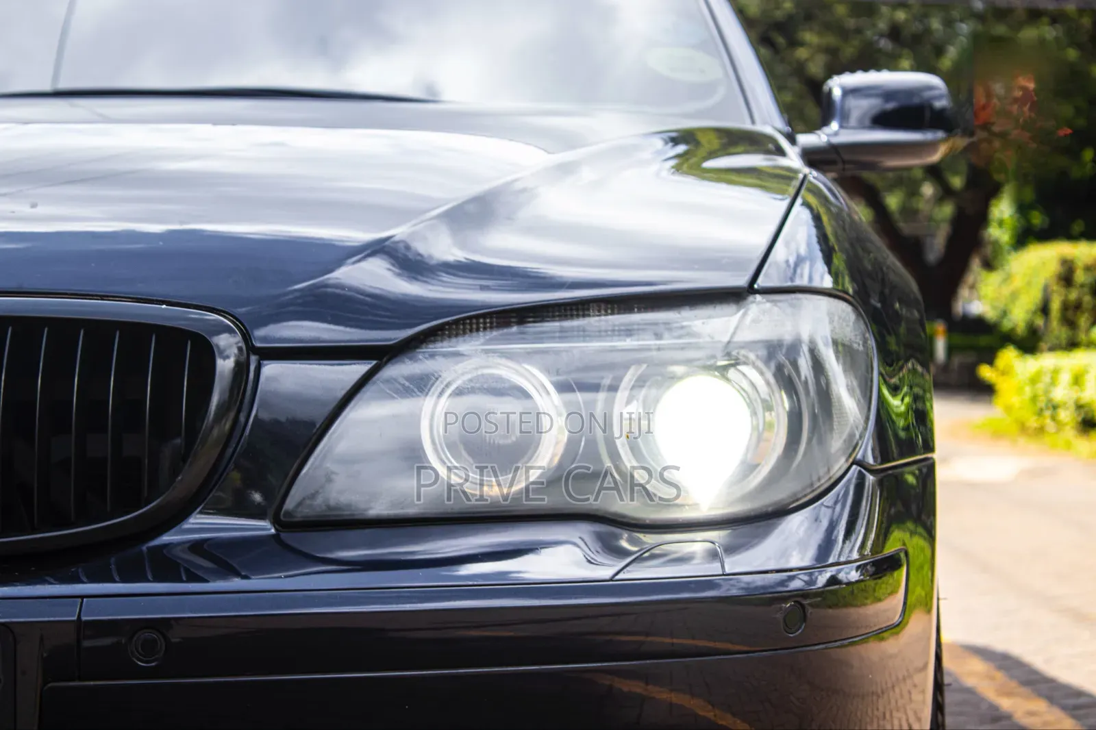 BMW 7 Series 730Li 2009 Blue