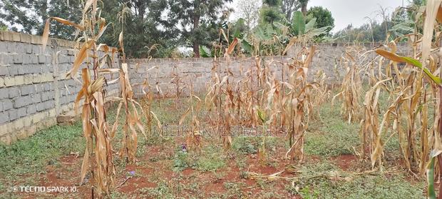Residential Plot for Sale at Ruiru Mugutha - thumbnail 2