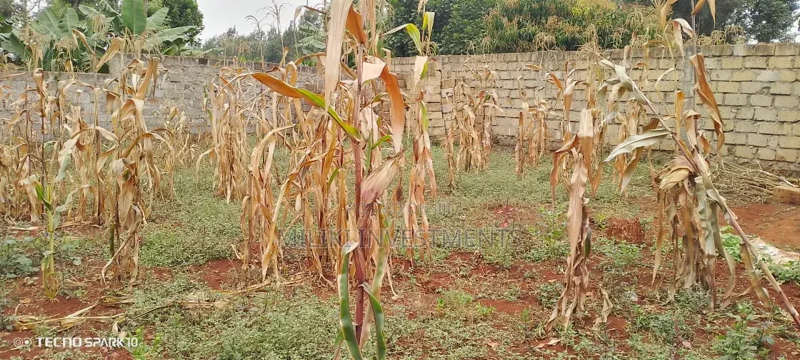 Residential Plot for Sale at Ruiru Mugutha