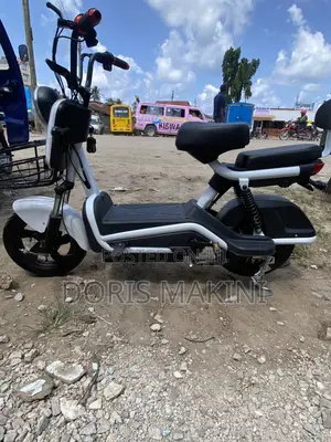 Electric Bicycle