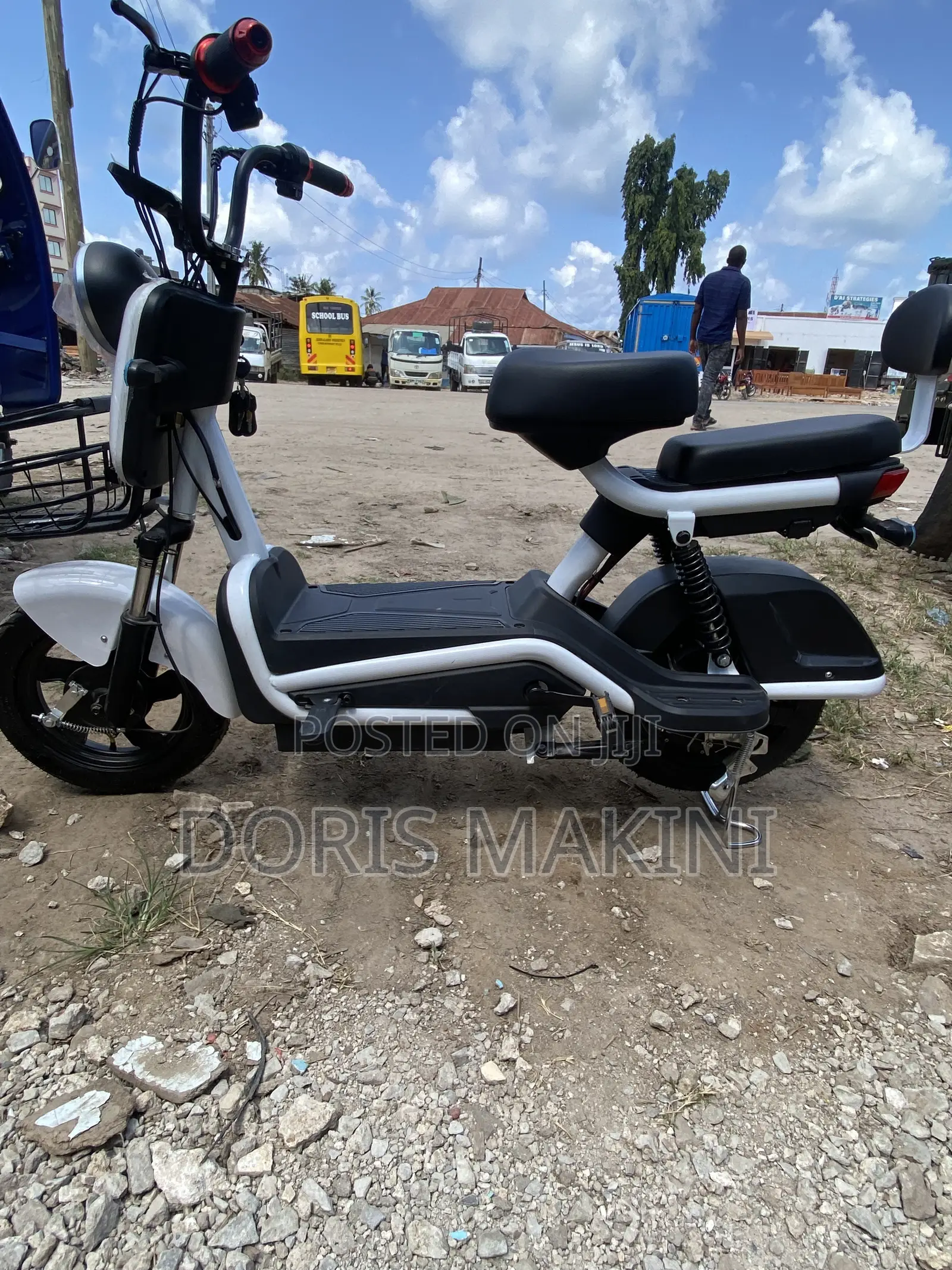 Electric Bicycle