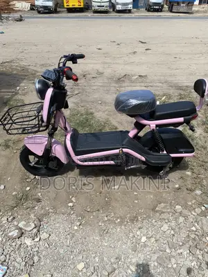 Electric Bicycle