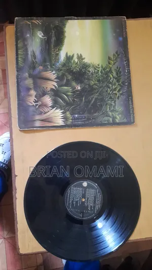 Vintage Vinyl Records