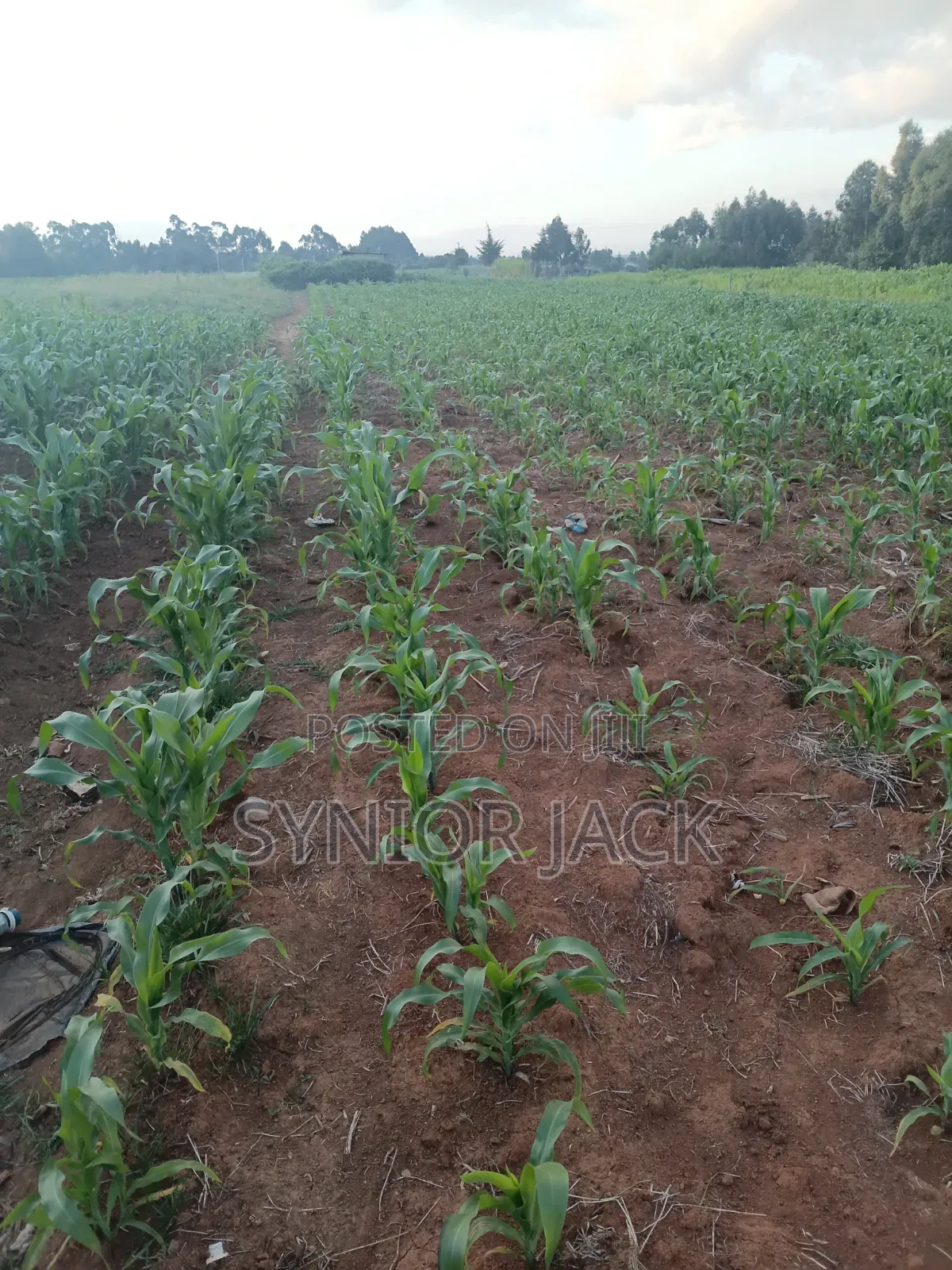 Better Place for Farm Produce