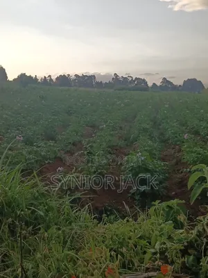 Better Place for Farm Produce