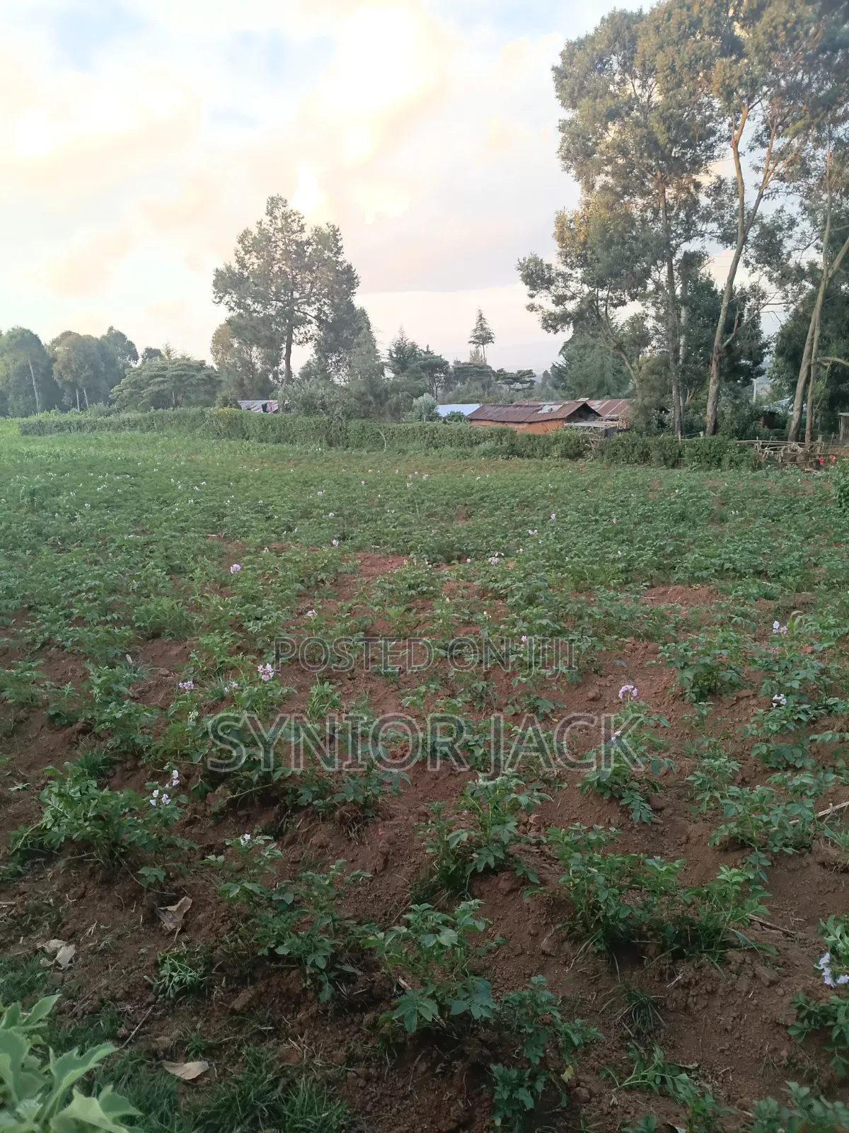 Better Place for Farm Produce