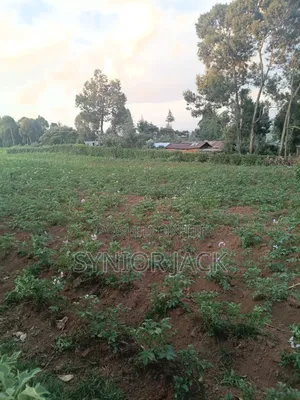 Better Place for Farm Produce