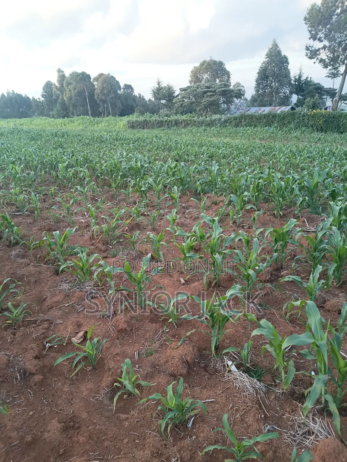 Better Place for Farm Produce