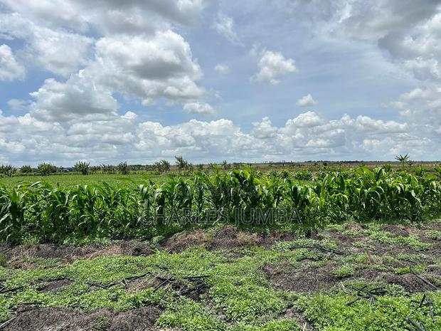 10 Acres With Borehole